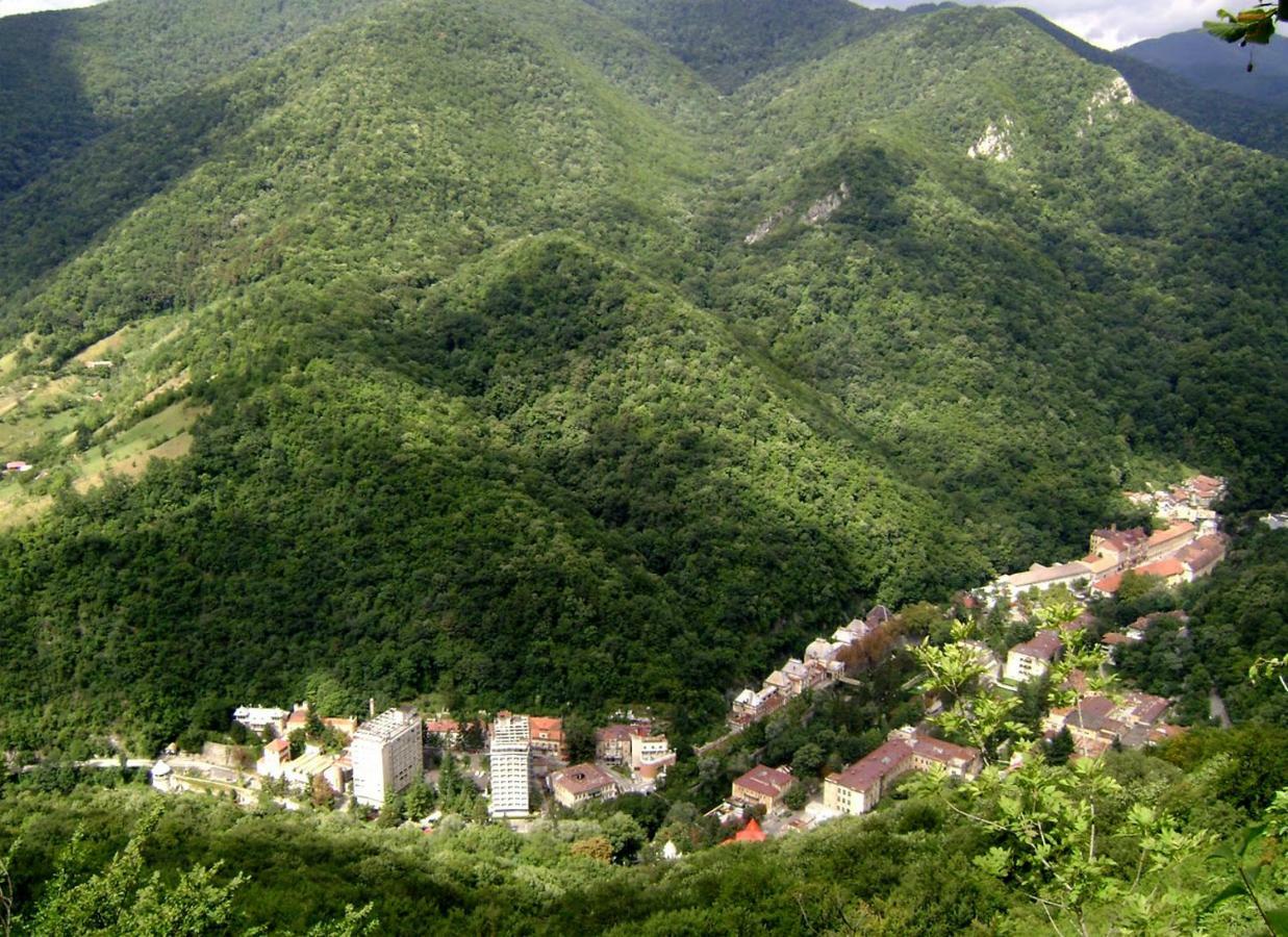 Garsoniera Aleea Trandafirilor Leilighet Băile Herculane Eksteriør bilde